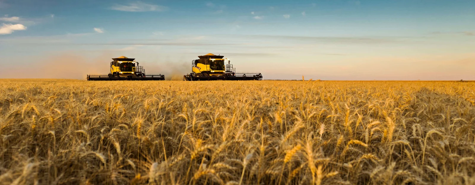 Harvesting at Balaklava.jpg