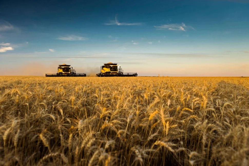 Harvesting at Balaklava.jpg